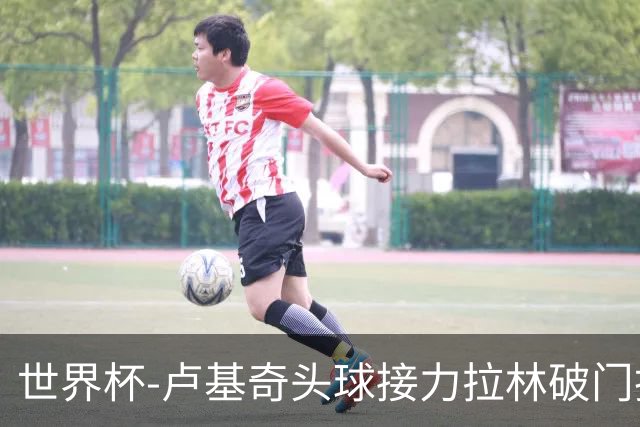 世界杯-卢基奇头球接力拉林破门扳平 加拿大1-1波黑
